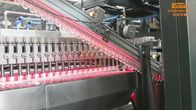 Fabricación mineral de la botella de agua del moldeo por insuflación de aire comprimido de SMC de la cavidad automática de la máquina 4